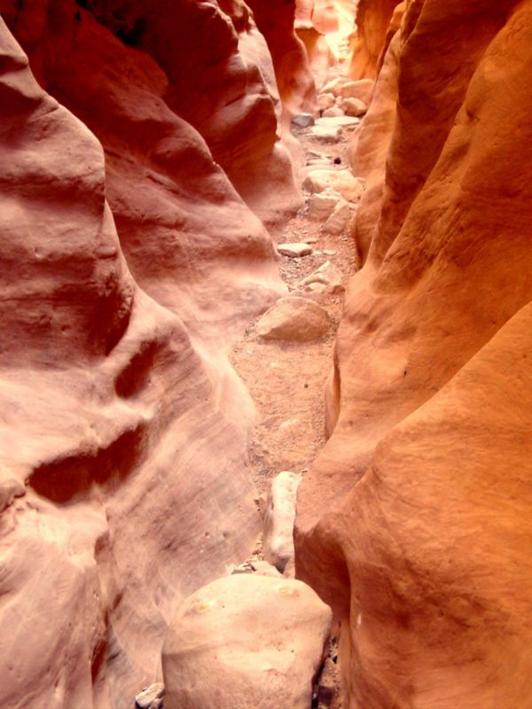 04160302LittleWildHorse (1057)